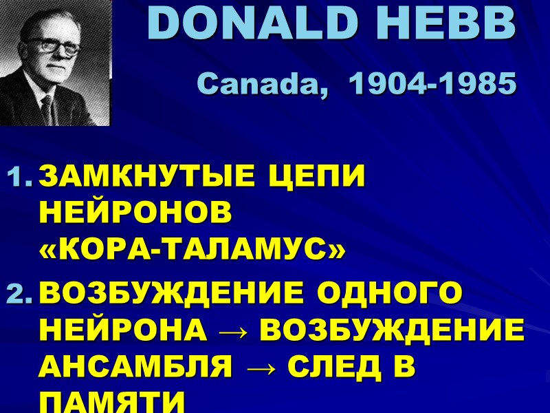 DONALD HEBB  Canada, 1904-1985 ЗАМКНУТЫЕ ЦЕПИ НЕЙРОНОВ «КОРА-ТАЛАМУС» ВОЗБУЖДЕНИЕ ОДНОГО НЕЙРОНА → ВОЗБУЖДЕНИЕ